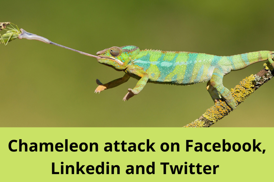 Chameleon attack