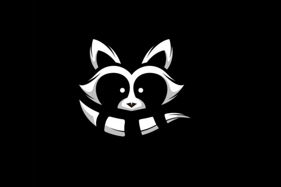 Raccoon malware
